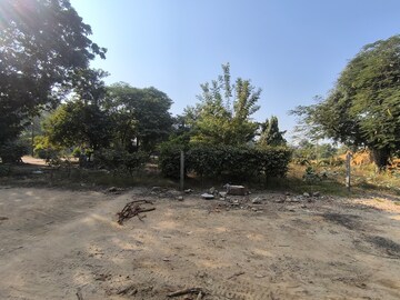 Plot Area in  Plot at Pataudi – for Sale