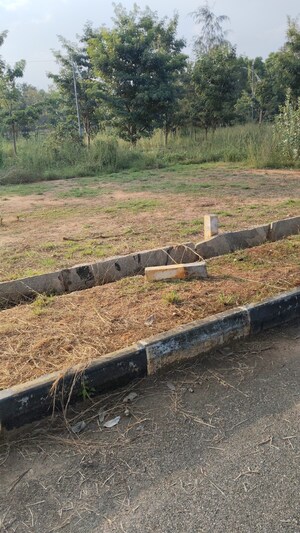 Plot Area in  Plot at Sarjapur – for Sale