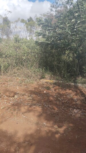 Plot Area in  Plot at Sarjapur Attibele Road – for Sale