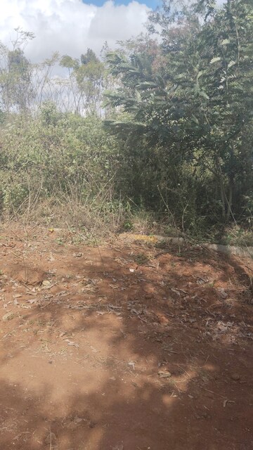 Plot Area in  Plot at Sarjapur Attibele Road – for Sale