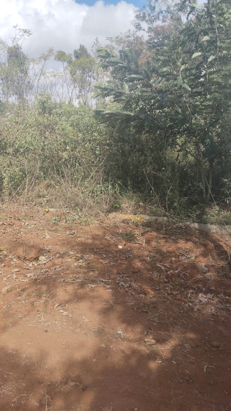 undefined, sarjapur attibele road  1200 Sq.Ft. Plot In Sarjapur Attibele Road Bangalore 9567755
