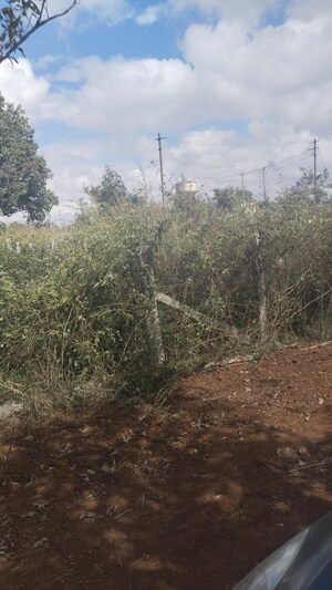 Plot Area in  Plot at Sarjapur Attibele Road – for Sale