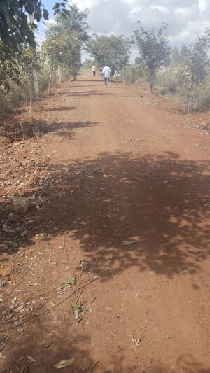 Plot Area in  Plot at Sarjapur Attibele Road – for Sale