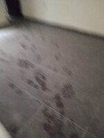 2.5 BHK + Study Room 194 Sq.Yd. Builder Floor in Wave Prime Floors