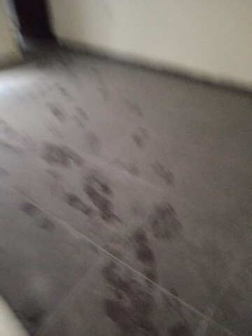 2.5 BHK Builder Floor For Sale in Wave Prime Floors, Wave City