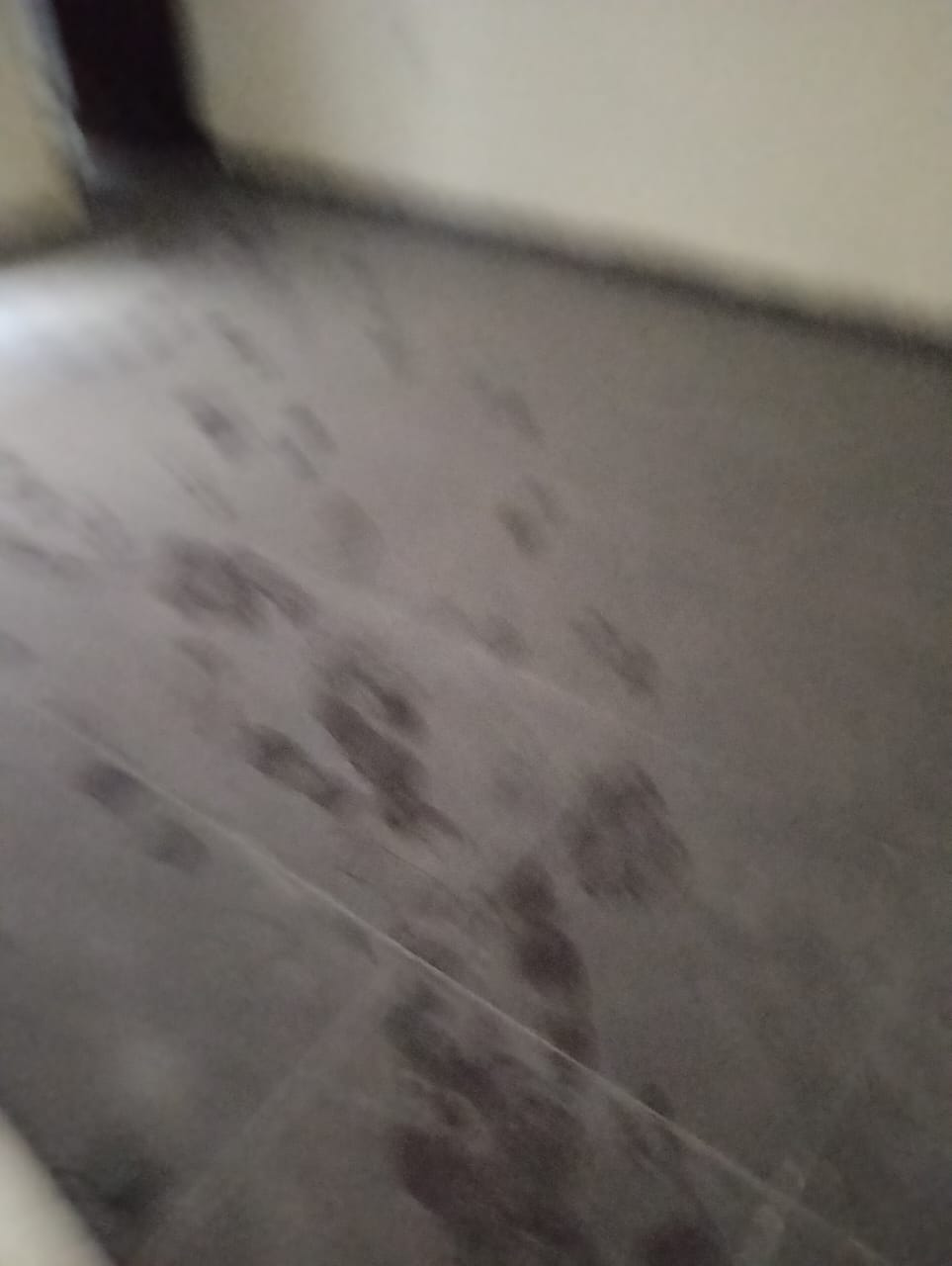 2.5 BHK + Study Room Builder Floor For Sale in Wave Prime Floors