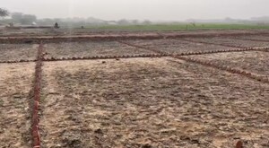  Plot For Sale in Sohna