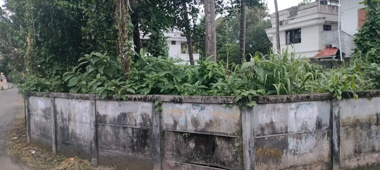Exterior View, kalathode  4356 Sq.Ft. Plot In Kalathode Thrissur 9568387