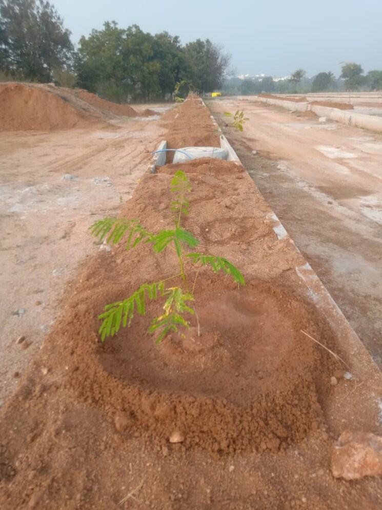 undefined, kamala-amulya-green-city 2 Bedroom 900 Sq.Ft. Independent House In Ankushapur Hyderabad 9568693