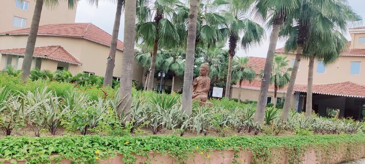 Garden, sejbahar  1200 Sq.Ft. Plot In Sejbahar Raipur 9568821