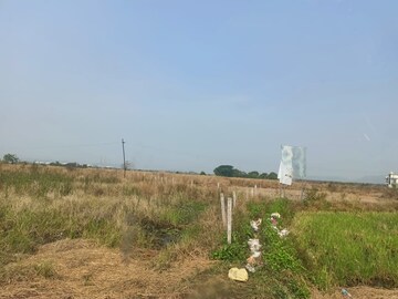  Plot For Sale in Juinagar