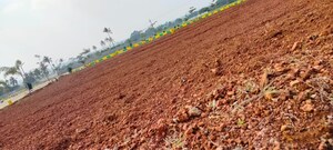 Plot Area in  Plot at Chikkaballapur – for Sale