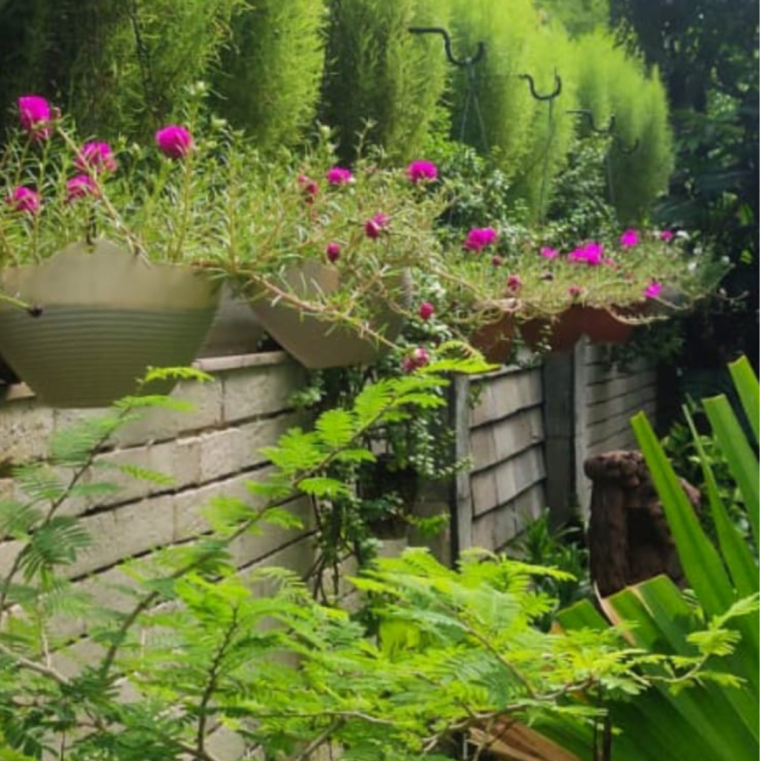 Garden, sector 40 4 Bedroom 3000 Sq.Ft. Independent House In Sector 40 Noida 9569674