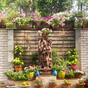 4 BHK Independent House – Garden View at Sector 40 - for Rent