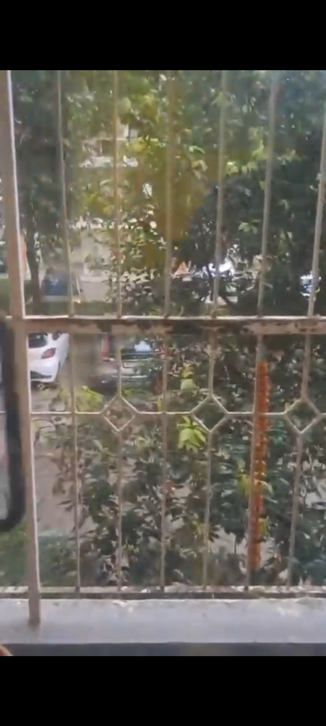 3 BHK Apartment For Rent in Puri Pranayam