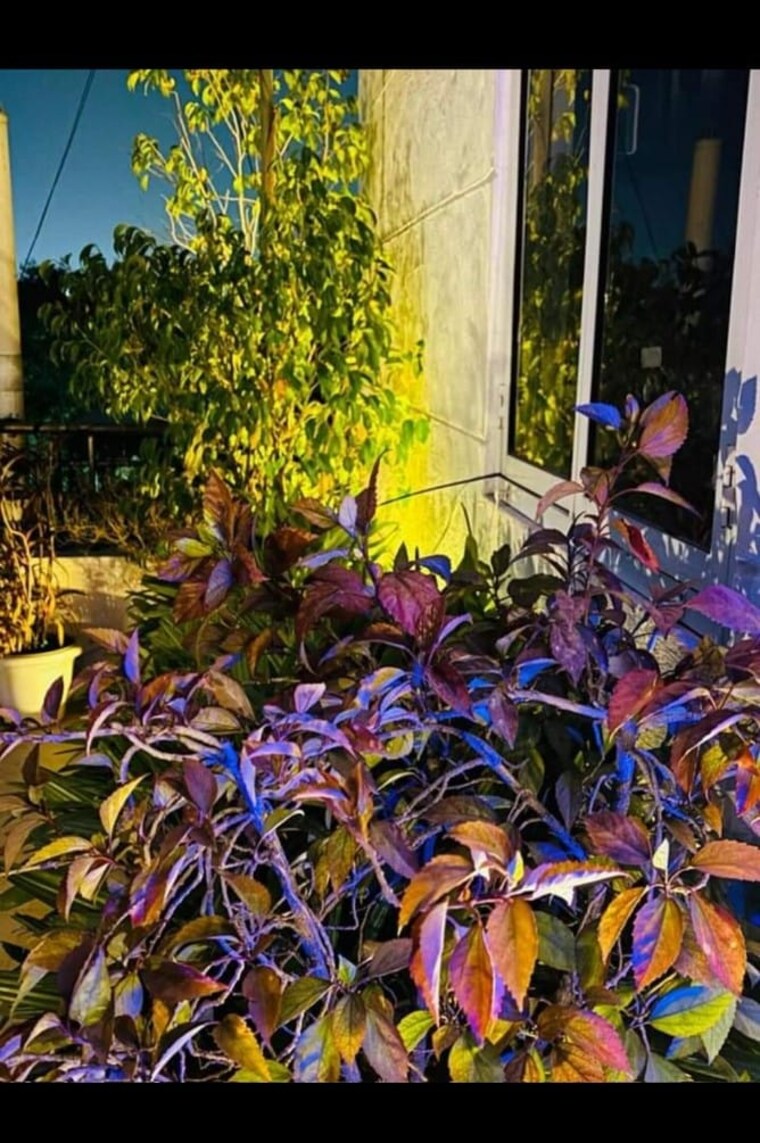 Garden, malviya nagar 1 Bedroom 600 Sq.Ft. Builder Floor In Malviya Nagar Delhi 9570127