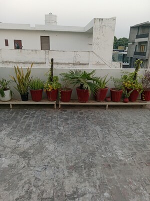 Balcony in 1.5 BHK Builder Floor at Sector 13 – for Rent