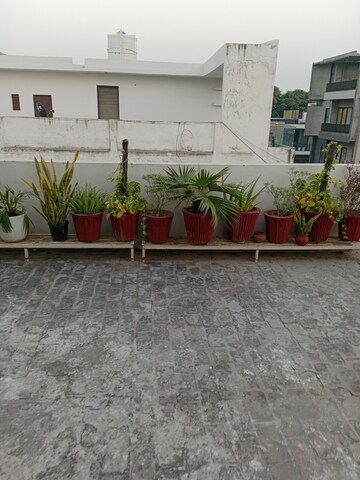 Balcony in 1.5 BHK Builder Floor at Sector 13 – for Rent