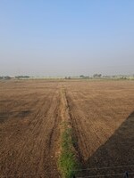 8300 Sq.Yd. Industrial Plot in Surat