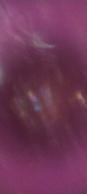  Shop – Garden View at SKA Arcadia, Wave City - for Sale