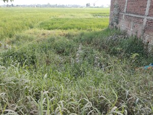  Plot For Sale in Bihta