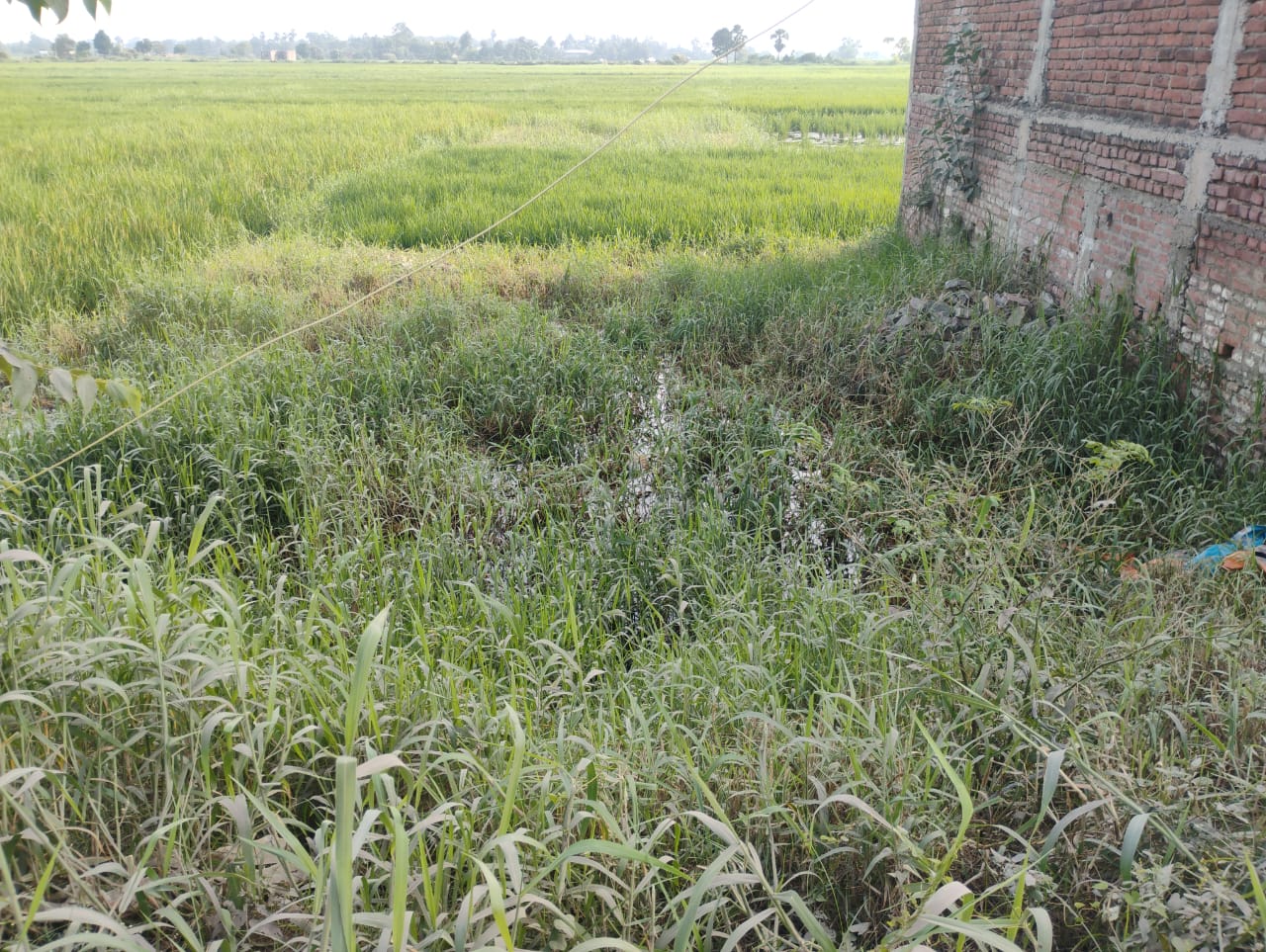 Plot For Sale in Dwarika Heritage 