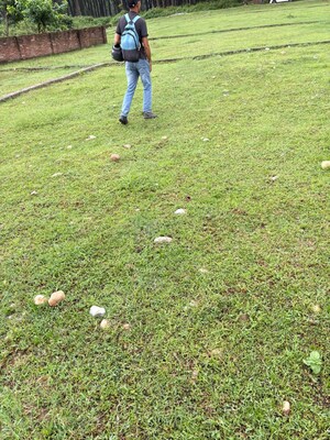  Plot For Sale in Sherpur