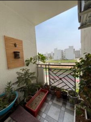 3 BHK Apartment For Rent in Central Park Flower Valley Aqua Front Towers, Sohna Sector 33
