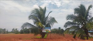  Land For Sale in Devanahalli Road