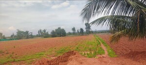  Land – Exterior View View at Devanahalli Road - for Sale