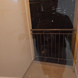 1 BHK Apartment For Rent in SNN Raj GreenBay, Doddanagamangala Village