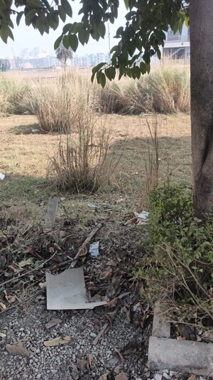 Plot Area in  Plot at Behat Road – for Sale