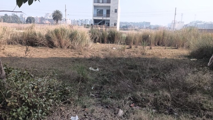 undefined, behat road  70 Acre Plot In Behat Road Saharanpur 9571470