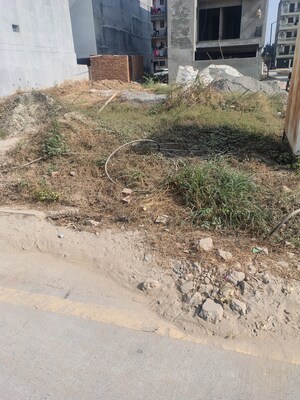  Plot For Sale in Amolik Aster Woods, Sector 98