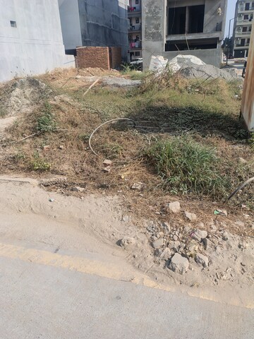  Plot For Sale in Amolik Aster Woods, Sector 98