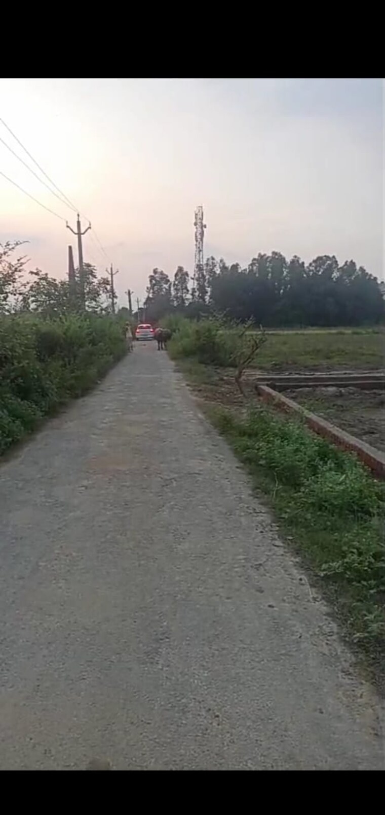 undefined, sushant golf city  1200 Sq.Ft. Plot In Sushant Golf City Lucknow 9571604