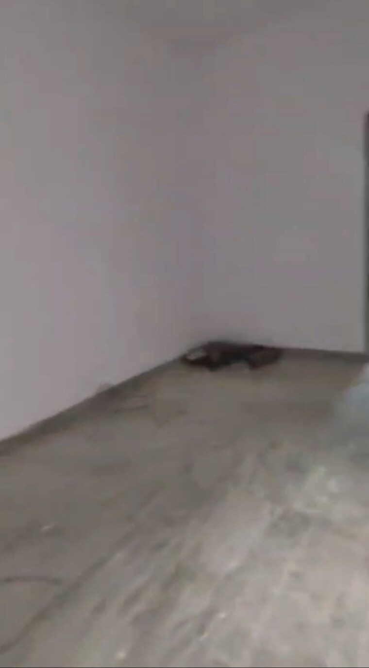 Room, sewla jat 2.5 Bedroom 105 Sq.Ft. Independent House In Sewla Jat Agra 9571633