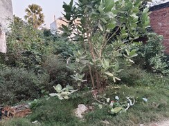 Plot For Sale in Transport Nagar