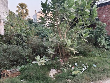  Plot For Sale in Transport Nagar