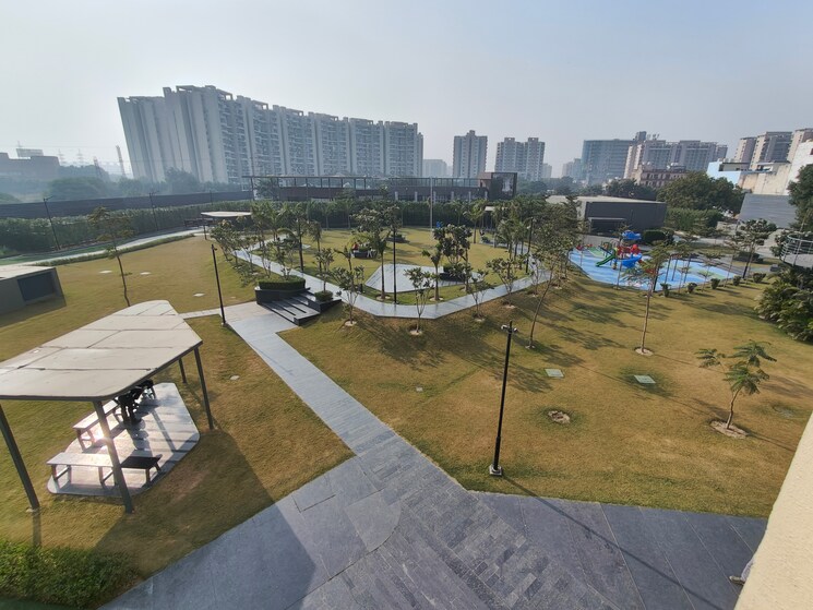 Swimming Pool, tulip-yellow 3 Bedroom 1704 Sq.Ft. Apartment In Sector 69 Gurgaon 9571765