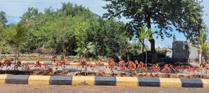  Plot – Garden View at Manasa Hills, Rajendra Nagar - for Sale