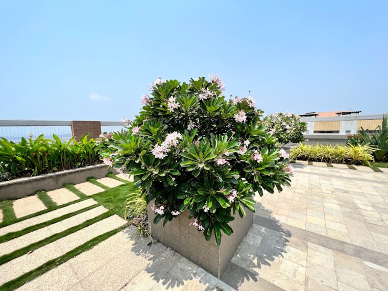 Terrace, adani-group-western-heights 3 Bedroom 1250 Sq.Ft. Apartment In Andheri West Mumbai 9571920