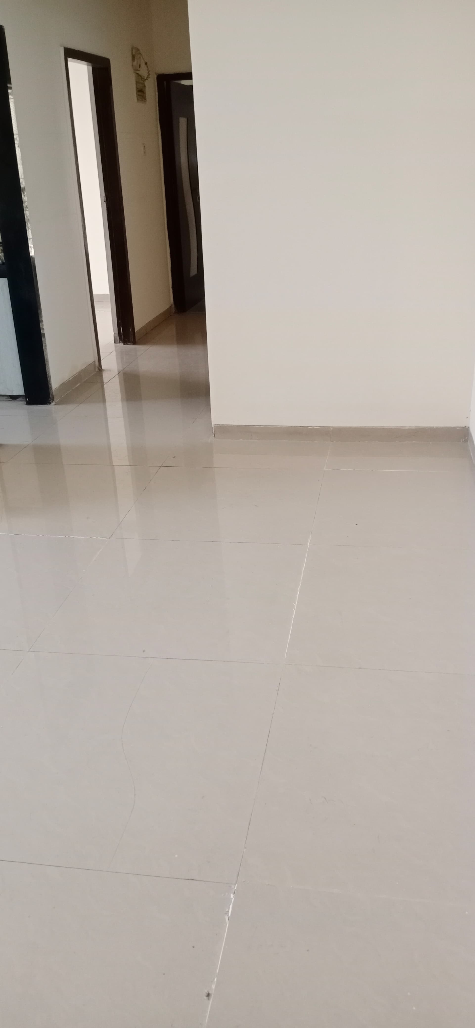 3 BHK + Extra Room Apartment For Sale in Ravechi Heights