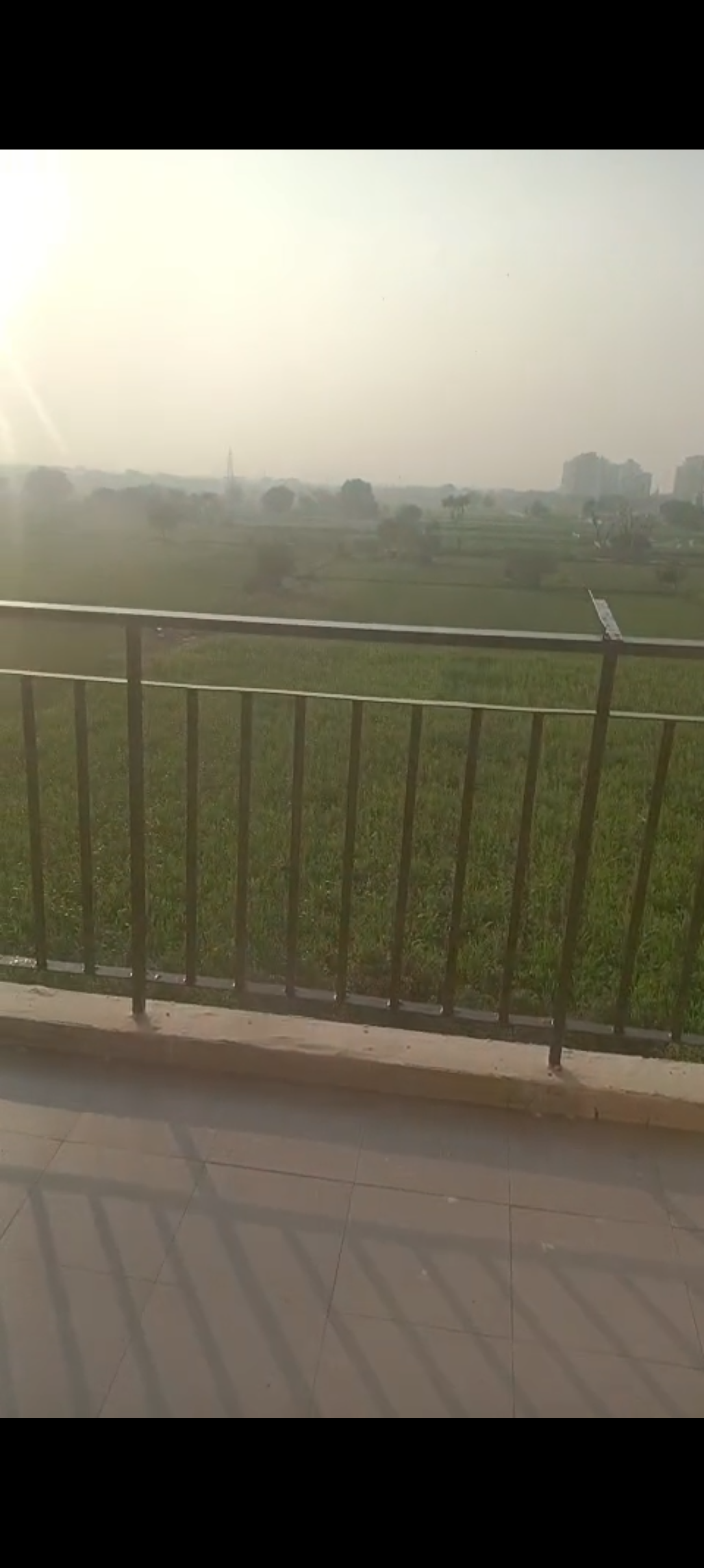 1 BHK 365 Sq.Ft. Apartment in Signature Global Synera