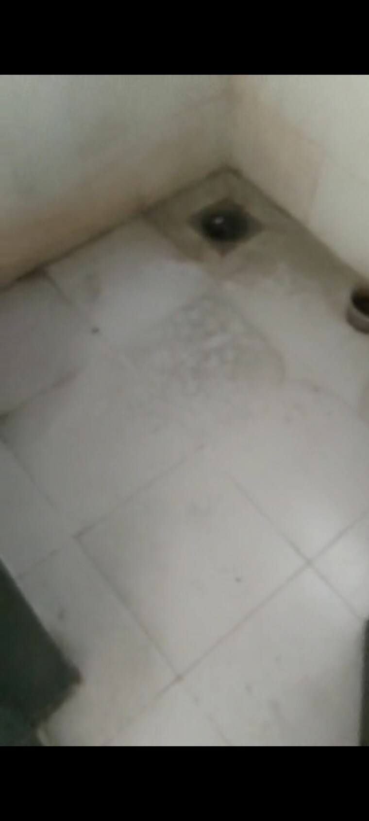 Room, tilak nagar 1 Bedroom 400 Sq.Ft. Apartment In Tilak Nagar Mumbai 9572517