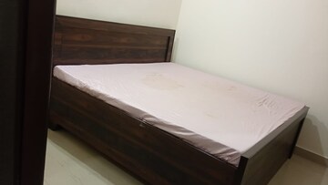 Furnished Amenities in 1 BHK Builder Floor at DLF The Grove, Sector 54 – for Rent