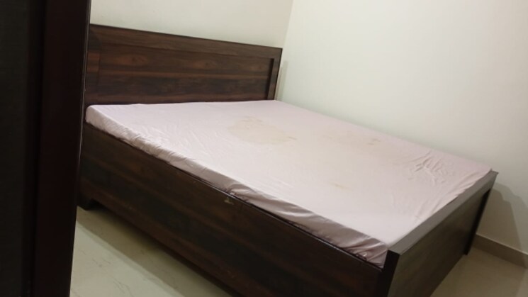 undefined, dlf-the-grove 1 Bedroom 60 Sq.Yd. Builder Floor In Sector 54 Gurgaon 9572654