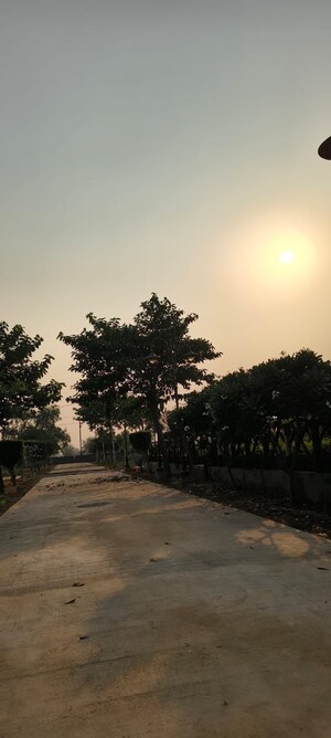 Plot Area in  Plot at Sujanpur – for Sale