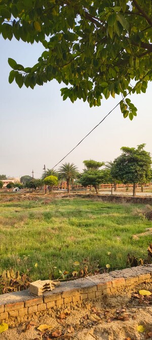  Plot For Sale in Sujanpur