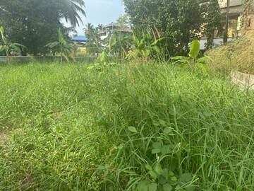 Plot Area in  Plot at Punkunnam – for Sale